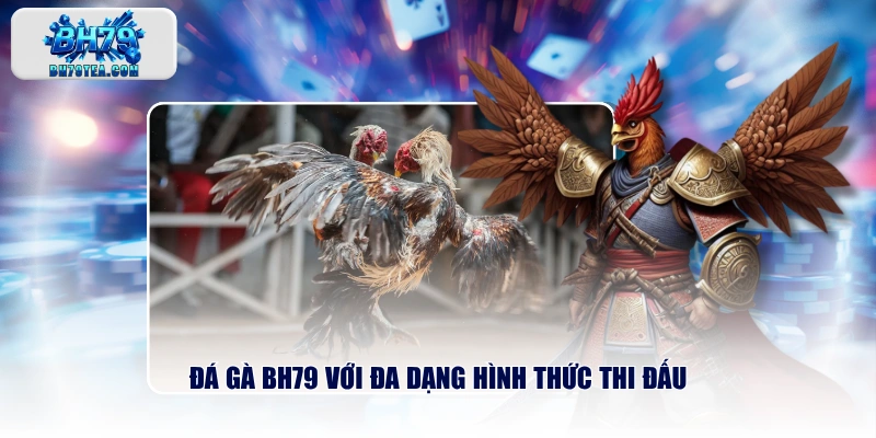 Đá gà BH79 với đa dạng hình thức thi đấu