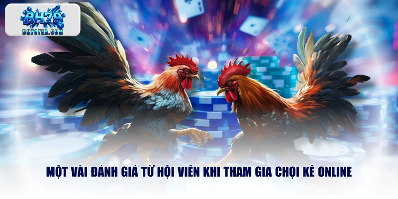 Một vài đánh giá từ hội viên khi tham gia chọi kê online